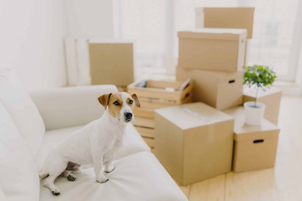 Come realizzare un look comodo per il telelavoro che sia professionale per le videoconferenze?